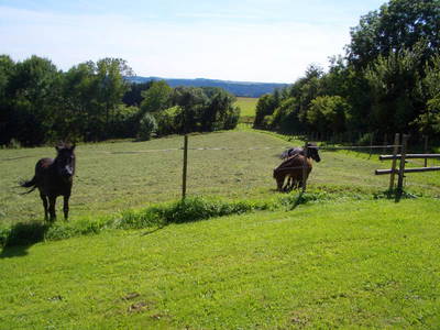 Bild 5 aus  Fischbachhof