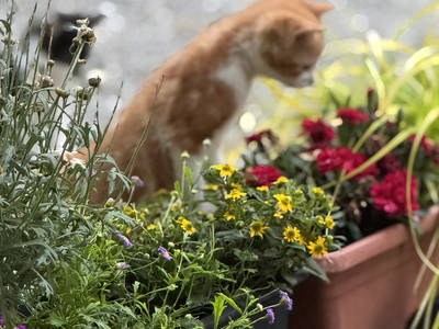 Bild 35 aus  Hof in Liebesdorf