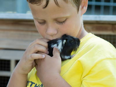 Bild 17 aus  Seimehof - Ihre Wohlfühloase am Chiemsee mit Herzlichkeit und Naturgenuss