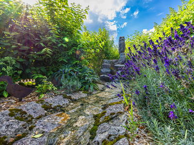 Bild 34 aus  Heumanns Blockhäuser am Wald