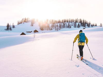 Bild 29 aus  Hornergut