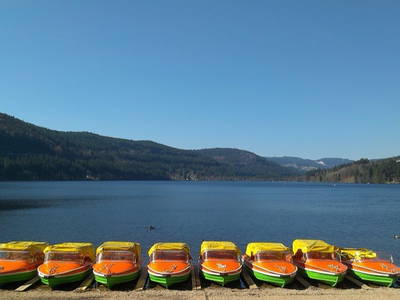 Morgenstimmung am Titisee
