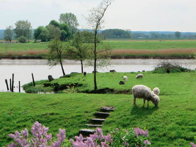 Bild 7 aus  Ferienwohnung Osteblick auf Hof Mühlenwisch