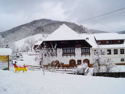 Bild 4 aus  Ramsteinerhof