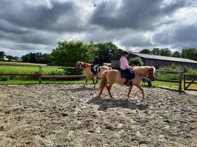 Bild 23 aus  Ferienhof Martens