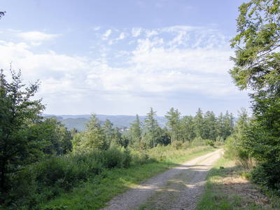 Bild 21 aus  Landurlaub im Sauerland auf dem Ferienhof Verse