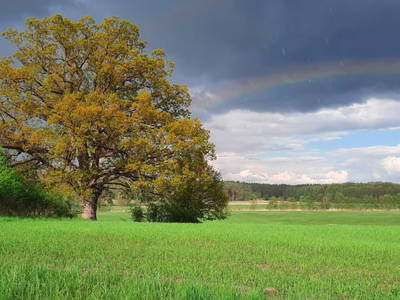 Bild 20 aus  Ferienhaus Zur Tenne