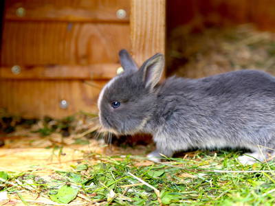 Bild 31 aus  Keilhof