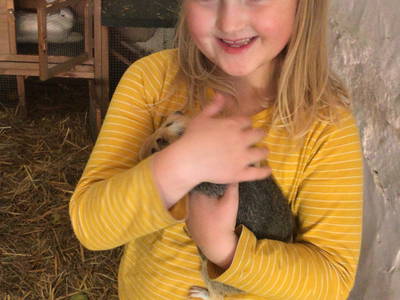 Bild 38 aus  Ferienhof Schlünzen