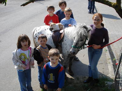 Bild 7 aus  Ferienhof Waldmann