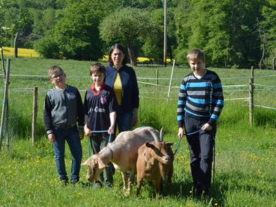 die Ziegen Jenny und Leonie
