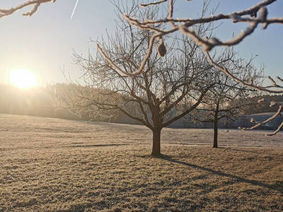 Bild 17 aus  Frankhof