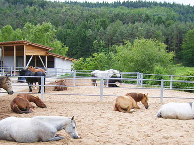 Bild 4 aus  Fenwick Farm