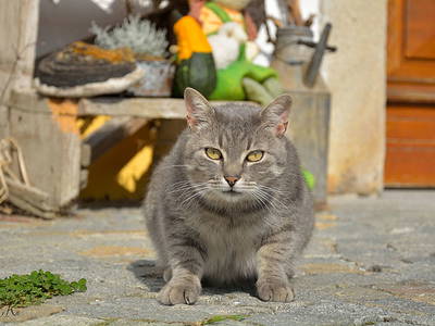 Bild 7 aus  Exenbacher Hof