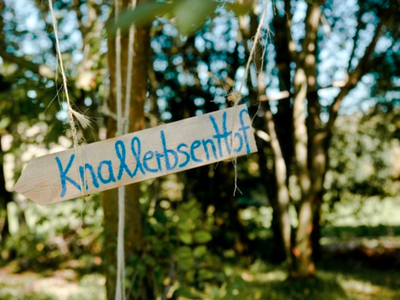 Bild 34 aus  KnallerbsenHof