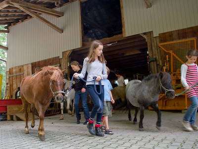 Bild 29 aus  Ferienhof Heuel