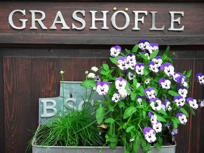 Bild 10 aus  Grashöfle
