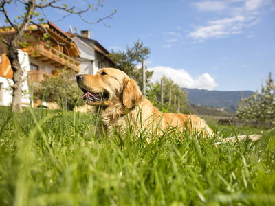 Bild 47 aus  Neuhauserhof