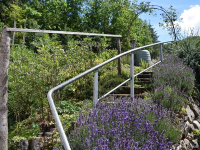 Bild 24 aus  Vogtbenedikthof im Schwarzwald