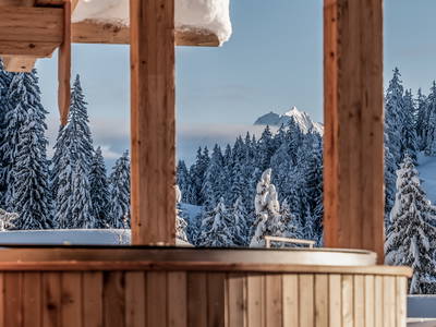 Bild 47 aus  Benglerwald Berg Chaletdorf