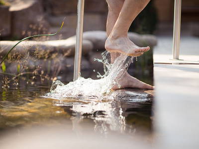 Bild 9 aus  Kräutererbe Bacherhof