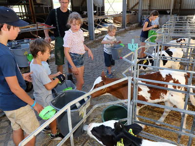 Jürgen mit Kindern beim Kälber füttern