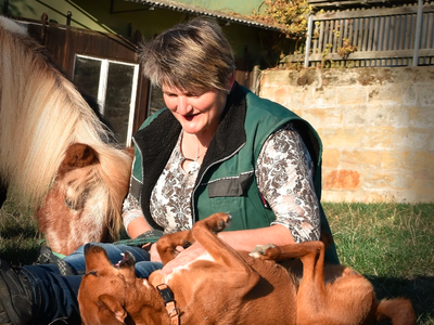 Bild 15 aus  Erlebnishof am Kordigast