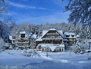 Bild 57 aus  Hotel Gasthof Sieberzmühle