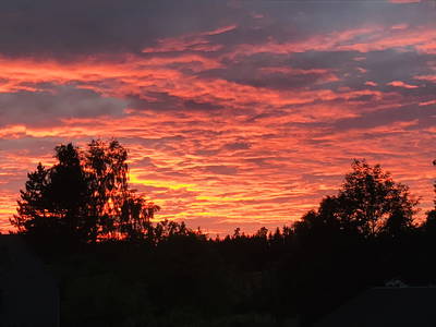 Bild 39 aus  Schelterhof