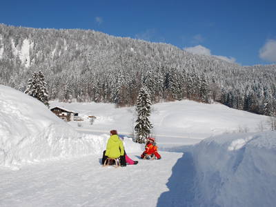 Bild 62 aus  Masererhof - Ferienbauernhof im Chiemgau