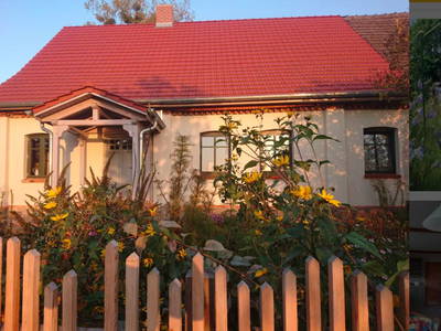 Bild 3 aus  Ferienhaus Landlust