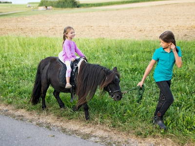 Bild 23 aus  Mayerhof- der Ferienbauernhof mit dem Pool, den Pferden u. d. tollen Spielplatz