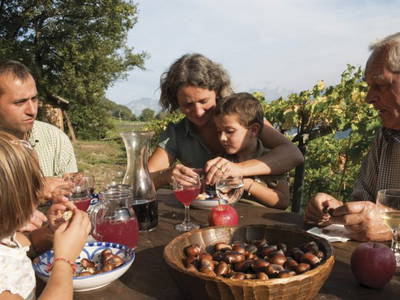 Bild 14 aus  Ban Rutzner (CIN Codex IT021011B5TZ9IFGUO)