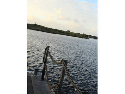 Bild 12 aus  Ferienwohnungen Meyerhoff