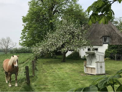 Bild 23 aus  Nübbelhof