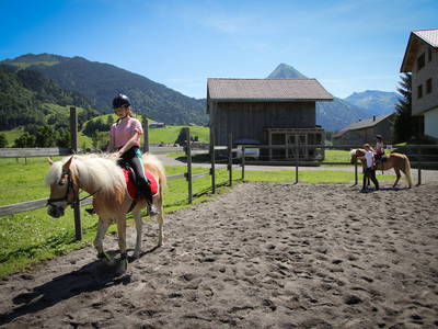 Bild 43 aus  Haus Bergquell mit Pferdestall