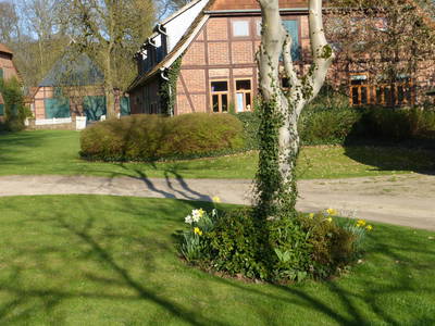 Bild 16 aus  Ferienanlage Böttcher Hof