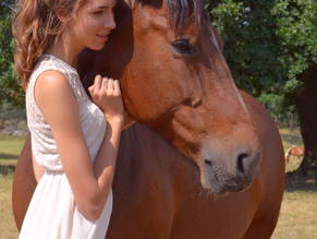 Bild 18 aus  Hof Grüneberg