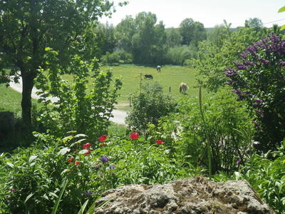 Bild 15 aus  Gottelhof