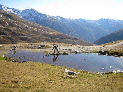 Bild 5 aus  Liebharterhof