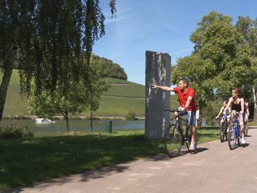 Bild 23 aus  Ferienweingut Willems, Maria Willems