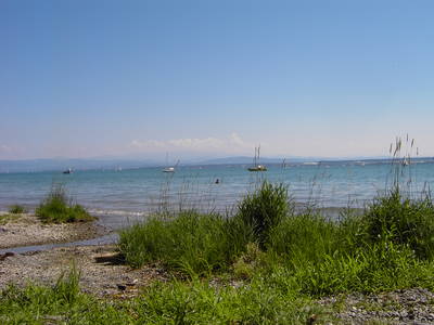 Bild 38 aus  Obst- und Ferienhof Gomeringer