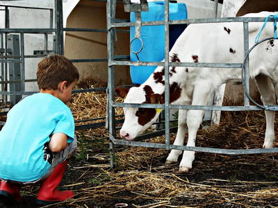 Bild 3 aus  Ferienhof Vennhof