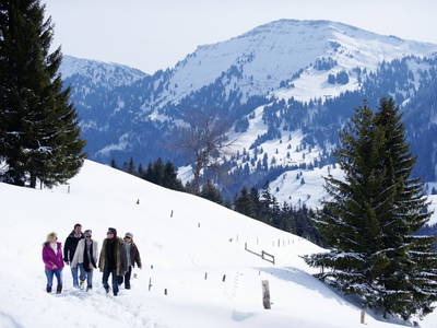 Bild 41 aus  Schädlerhof