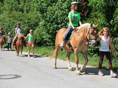 Bild 12 aus  Stroblhof