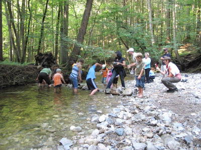 Bild 13 aus  Bauernhoferlebnis Lindenhof