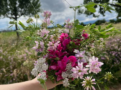 Natur um Schwegenheim
