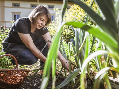 Bild 19 aus  LandSelection Moierhof am Chiemsee - Ferienhof des Jahres