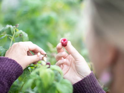 Bild 11 aus  Rittergut Schwanditz