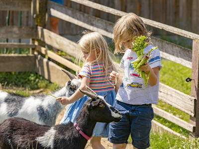 Bild 36 aus  Ferienhof Pfeiffer -  Natururlaub im Blockhaus - nachhaltig gut!